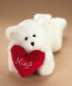 Holiday/Special Occasion Bears - Click Here