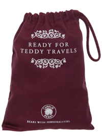 Ready for Teddy Travels Bag